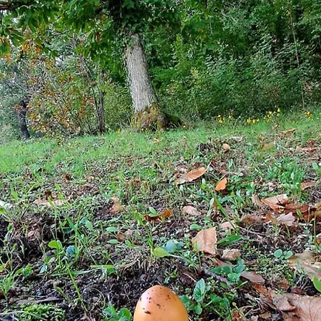 La Quercia E Il Castagno Country & Relax * Viterbo