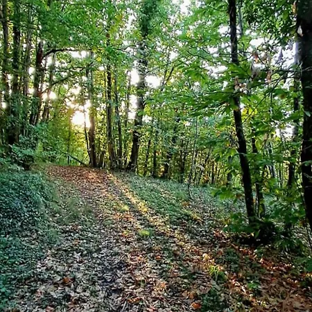 La Quercia E Il Castagno Country & Relax *