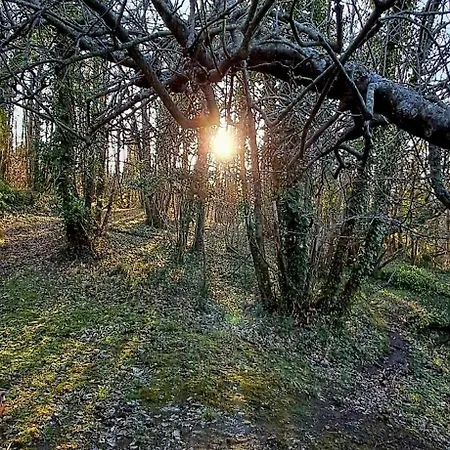 La Quercia E Il Castagno Country & Relax Nyaraló Viterbo