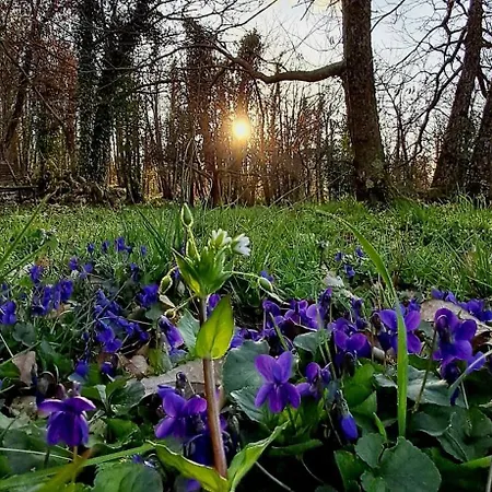 Nyaraló La Quercia E Il Castagno Country & Relax