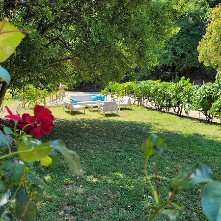 Casa de Férias La Quercia E Il Castagno Country & Relax Viterbo