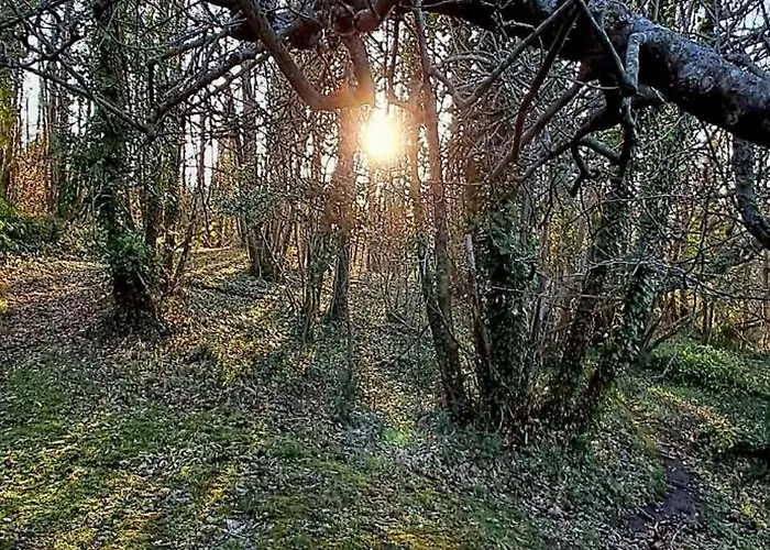 La Quercia E Il Castagno Country & Relax Σπίτι διακοπών Βιτέρμπο
