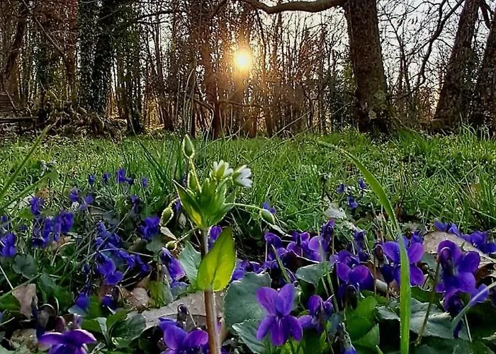 Σπίτι διακοπών La Quercia E Il Castagno Country & Relax